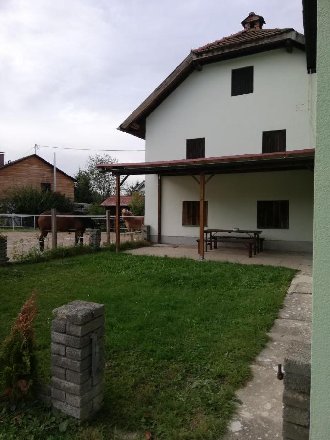 Ferienwohnung Schmied 1 Aurach am Hongar Esterno foto