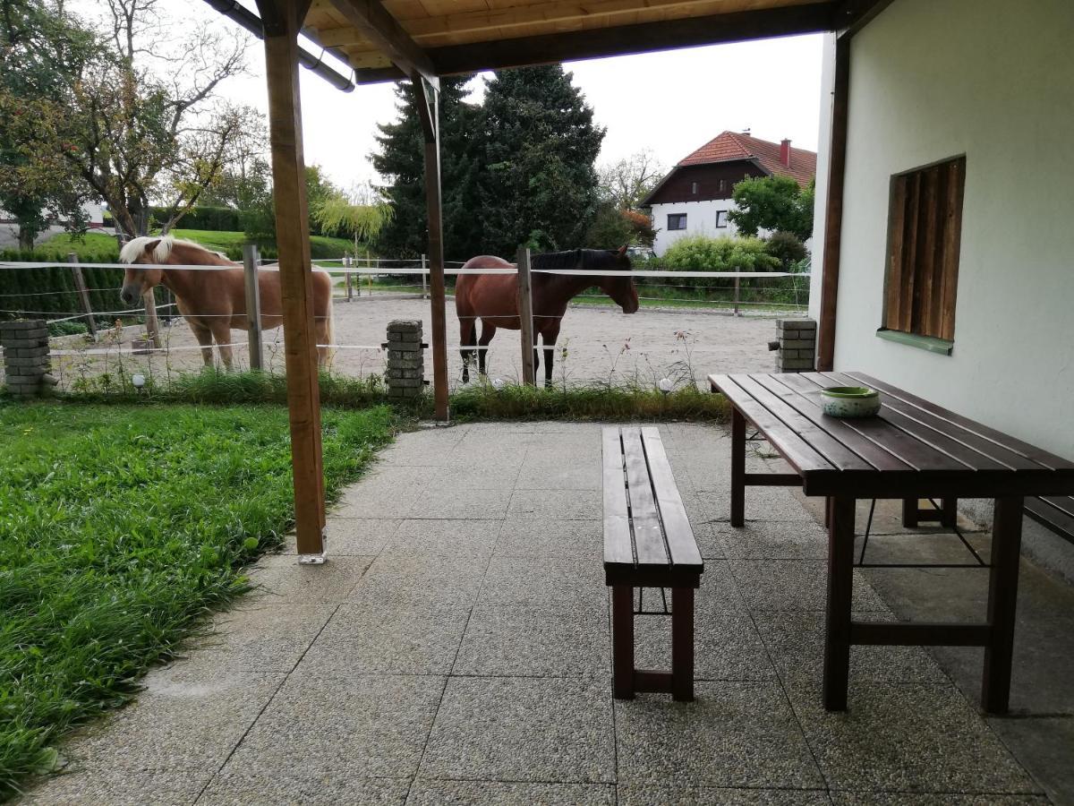 Ferienwohnung Schmied 1 Aurach am Hongar Esterno foto