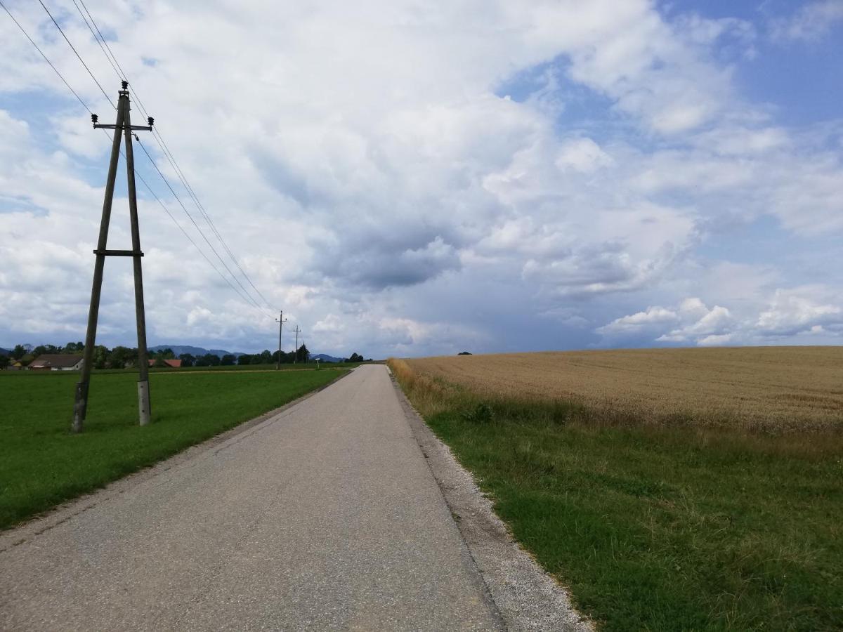Ferienwohnung Schmied 1 Aurach am Hongar Esterno foto